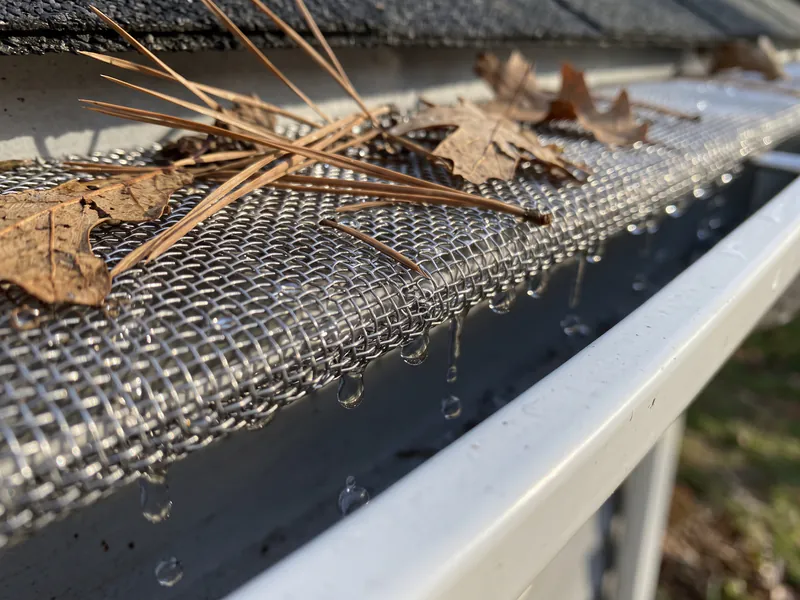 Surgical-grade stainless steel micro-mesh gutter guard installation repelling pine needles in Polk County FL